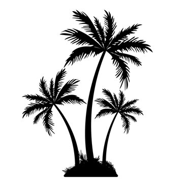 Realistic palm trees black silhouette. Tropical tree. Vacation and travel concept. Vector isolated on white