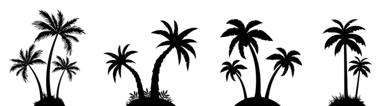 Tropical Palm Trees silhouettes collection. Vacation and travel concept. Vector isolated on white