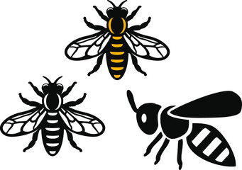 Honey Bees on White Background. Vector illustration