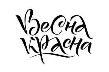 Greeting card or poster with lettering in Russian "Hello Spring". Hand-written black text on white background.