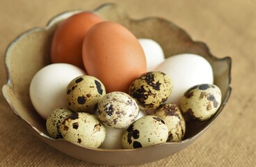 chicken and sawn eggs in a bowl