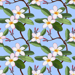 Vector design with Plumeria flowers on blue background seamless pattern.
