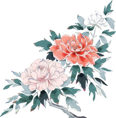 牡丹　イラスト © akky