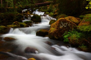Waterfalls in Umpqua National Forest  in Oregon