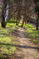 quiet spring green park. desert path
