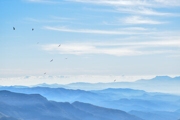 Landscape of foggy mountains and birds