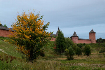 Fototapeta premium Summer view from the valley of Kamenka river to Saviour Monastery of St. Euthymius in Suzdal, Russia