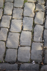 Grass in the paving stones of the old city.