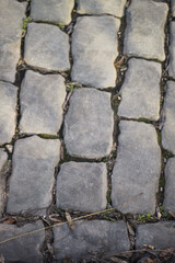 Grass in the paving stones of the old city.