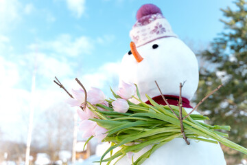 Funny snowmen with pink tulips, flowers in hands. Hello, welcome spring concept. Warm weather came....