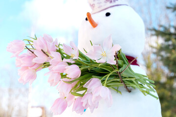 Funny snowmen with pink tulips, flowers in hands. Hello, welcome spring concept. Warm weather came....