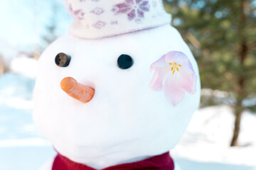 Funny snowmen with pink tulip flower in head,face. Hello, welcome spring concept. Warm weather...