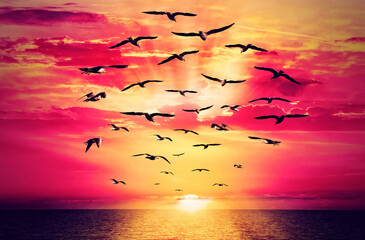Birds breaking the chain fly to beautiful sunrise. Seagull free flock flying over the sea towards...