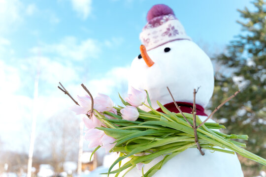 Funny snowmen with pink tulips, flowers in hands. Hello, welcome spring concept. Warm weather came. Melting snow. March. Sun shining, blue sky. Forest. Carrot nose, eyes, hat.Kids family fun,activity