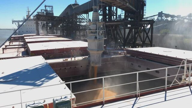 unloading of the ship's hold, grain