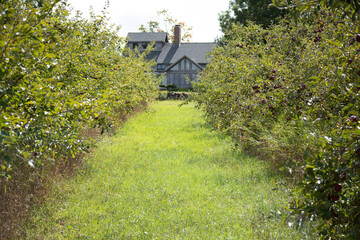 old house in the countryside