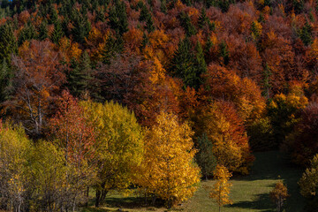 autumn in the mountains