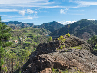 Obraz premium Green hills and forest mountains, landscape of Tamadaba natural park. Gran Canaria, Canary Islands, Spain