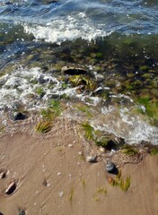 Summer on the Baltic Sea. Curonian Spit