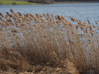 Bostalsee - Stausee im nördlichen Saarland