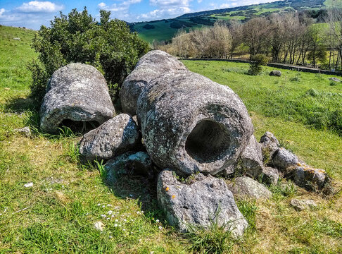 La foresta Carrucana Pietrificata Martis, Sardegna