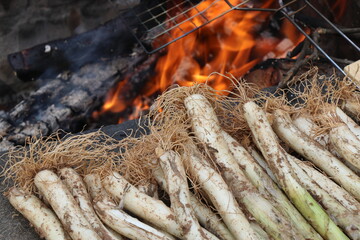 Calçots en una barbacoa campestre.