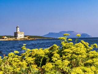 Il Faro di Olbia , gallura , Sardegna