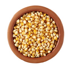 Yellow raw grain corn for popcorn in clay pot isolated on white, top view