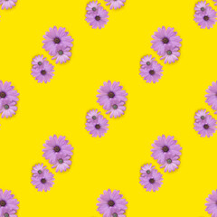 Seamless pattern. Pink flowers on the yellow background.