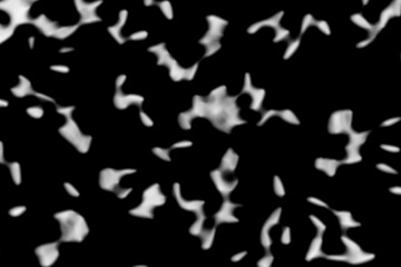 Black background with white spots that look like worms