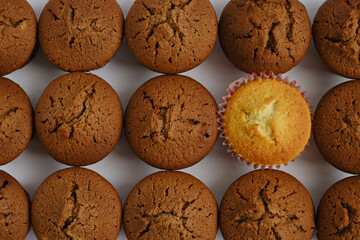 Background of chocolate cupcakes and one cupcake - light
