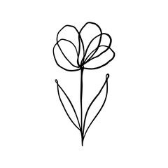Beautiful peony flower. Line art concept design. Continuous line drawing. Stylized flower symbol. Vector illustration