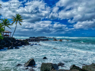 An Incredible Beach Scene from Haleiwa, Hawaii