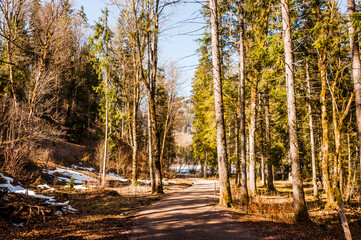 Schwarzsee, Lac Noir, Fribourg, Freiburg, Bergsee, Uferweg, Wald, Waldweg, Wanderweg, Kaiseregg, Schafberg, Riggisalp, Spitzflue, Winter, Wintersport, Eisfläche, Alpen, Schweiz