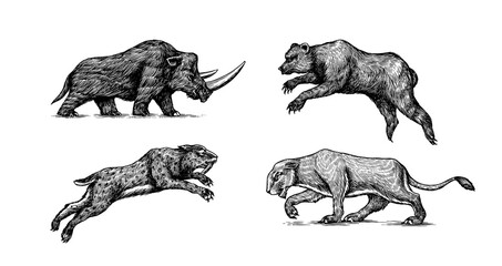 Woolly rhinoceros Cave bear and lion. Panthera Saber toothed tiger. Vintage animal. Retro Mammals. Hand drawn engraved sketch.