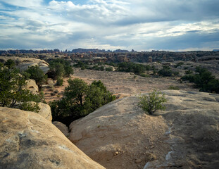 Incredible Pothole Point Trails in Canyonlands National Park in Utah