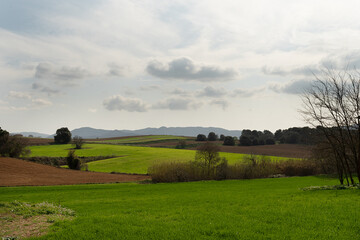 Sembrados y cielo azul con nubes