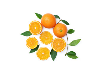 fresh various orange slices isolated on white