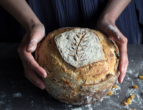 Woman in blue dress holds fresh homemade bread. Hands holding beautifully scored sourdough bread close up photo. 