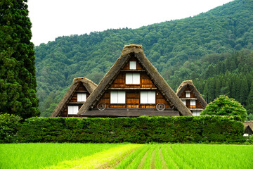 Fototapeta na wymiar UNESCO World Heritage, Shirakawago in Gifu, Japan.　ユネスコ世界遺産、白川郷。日本岐阜県。