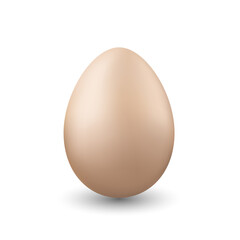 One chicken egg on white background.