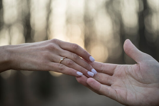 Wedding couple holding hands on sunset background. Couple in love. Hands. Bokeh.