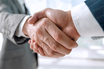 Diverse business male shaking hands.