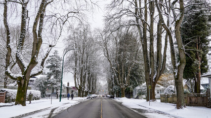 Beautiful view to trees and street after the first snow