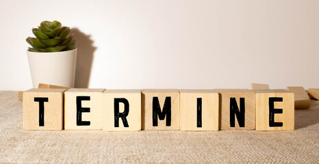 word termine spelled on dice