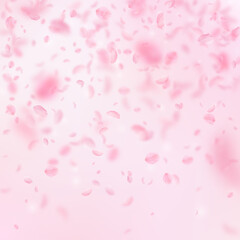 Sakura petals falling down. Romantic pink flowers gradient. Flying petals on pink square background.