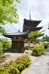 Fototapeta premium 壺阪寺 三重塔 奈良県高取町