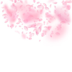 Sakura petals falling down. Romantic pink flowers semicircle. Flying petals on white square backgrou