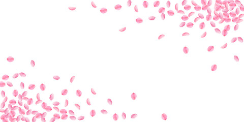 Fototapeta na wymiar Sakura petals falling down. Romantic pink bright medium flowers. Thick flying cherry petals. Wide co
