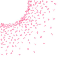 Sakura petals falling down. Romantic pink silky small flowers. Thick flying cherry petals. Left top